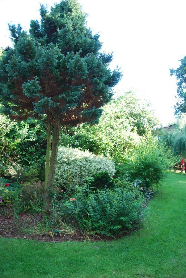 Ferienwohnung Aronia Warlow Exterior foto